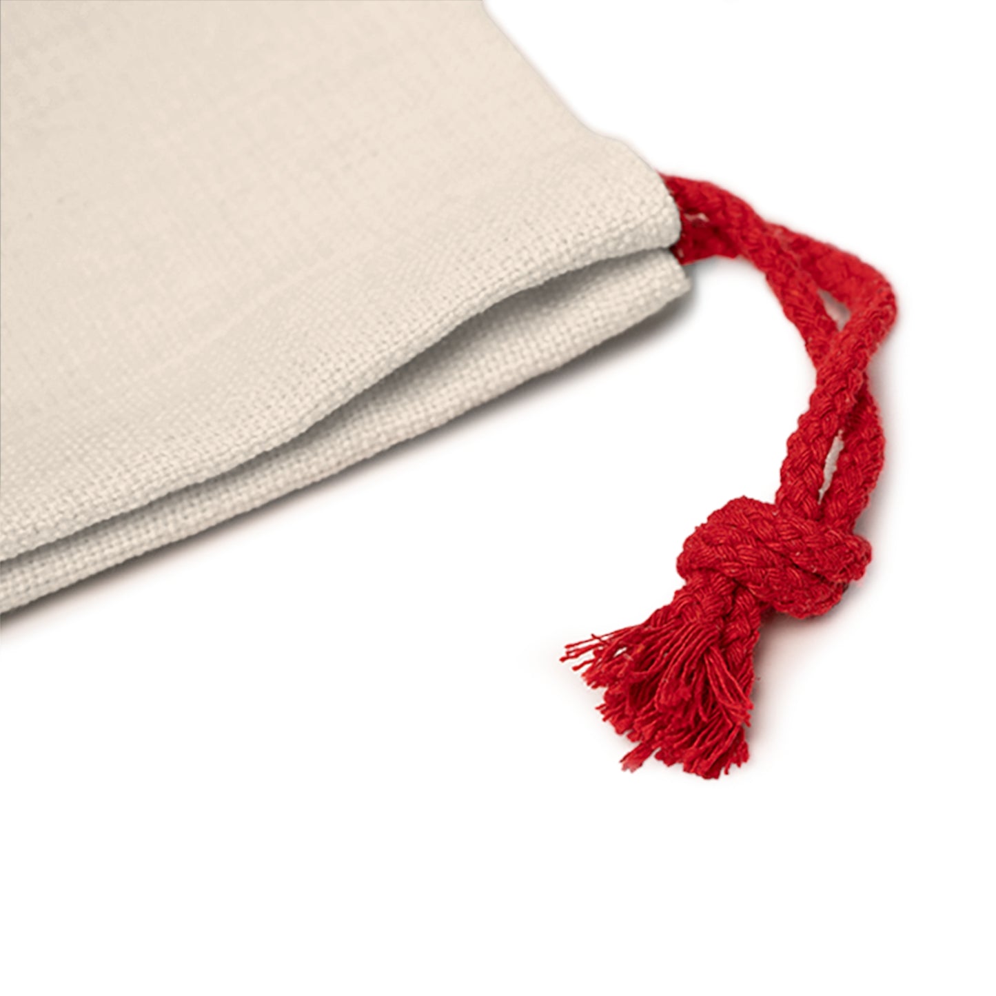 Special Delivery Santa Sack Gift Bag